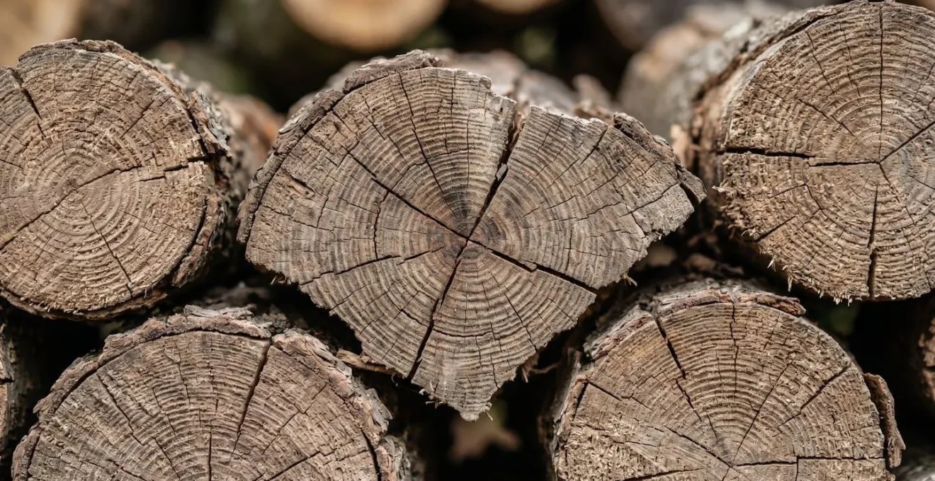 Bûches de bois sec empilées sous un abri ventilé avec vue sur la texture du bois