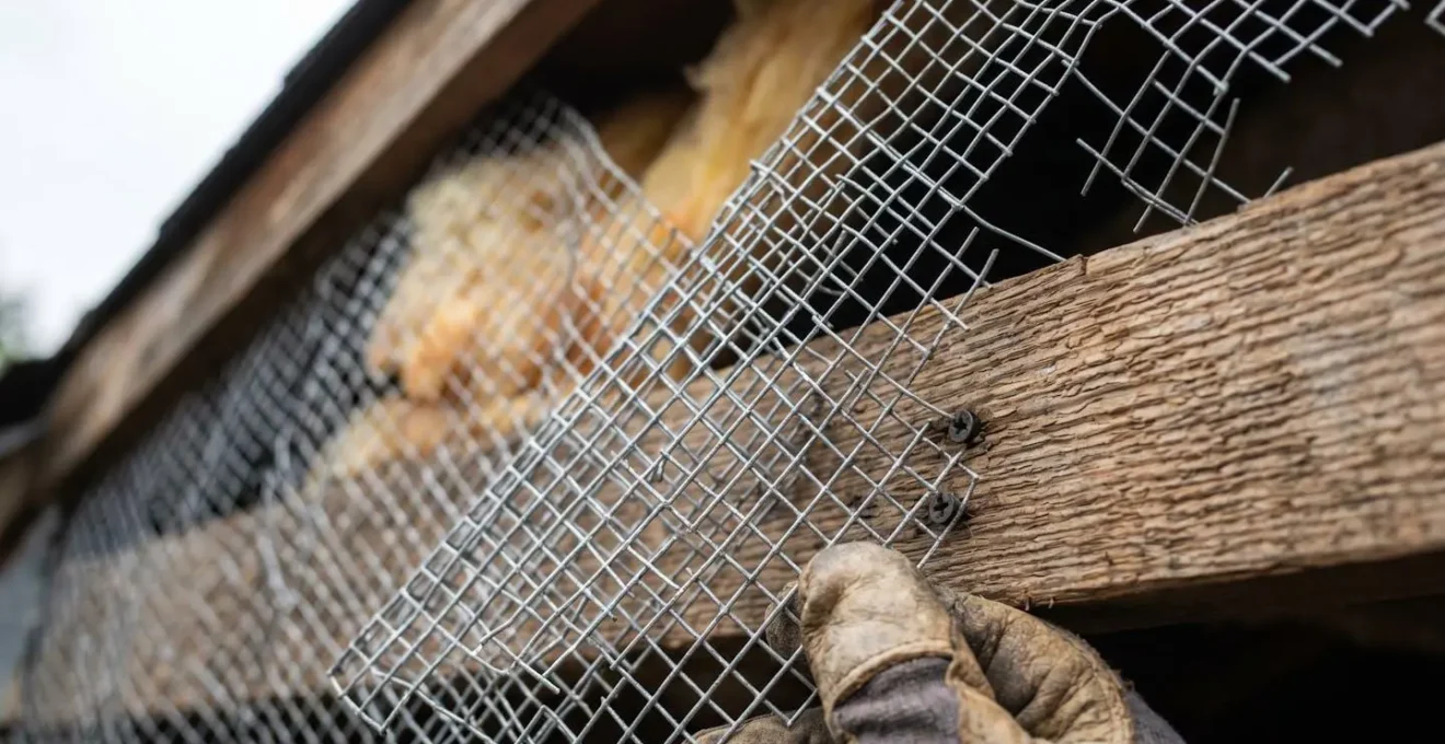 Installation de grilles métalliques anti-rongeurs sur les entrées d'air d'une toiture